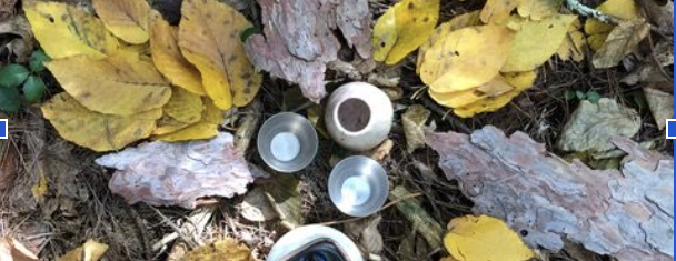 Forest Bathing with Todd Lynch - November 8